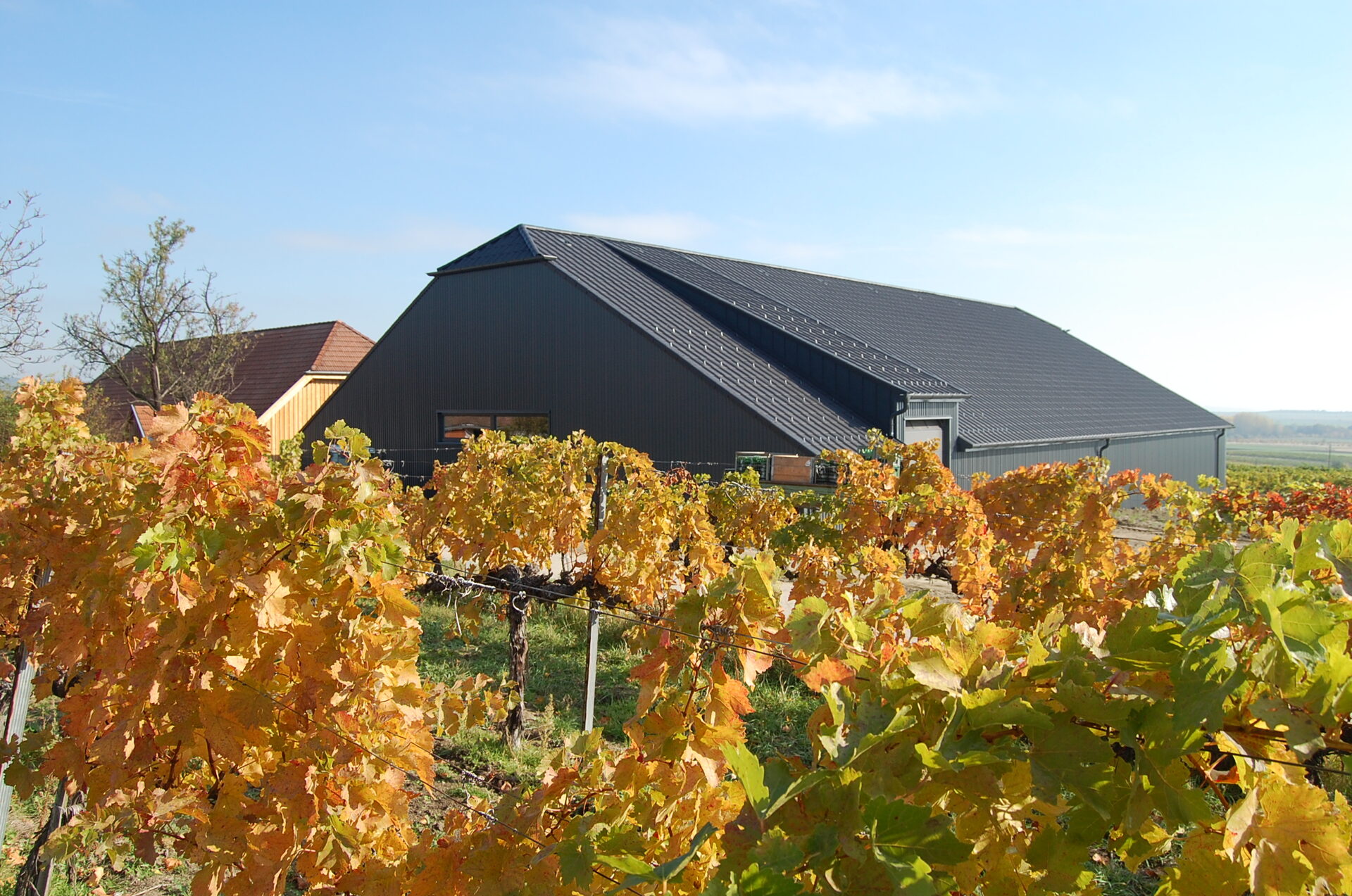 wein