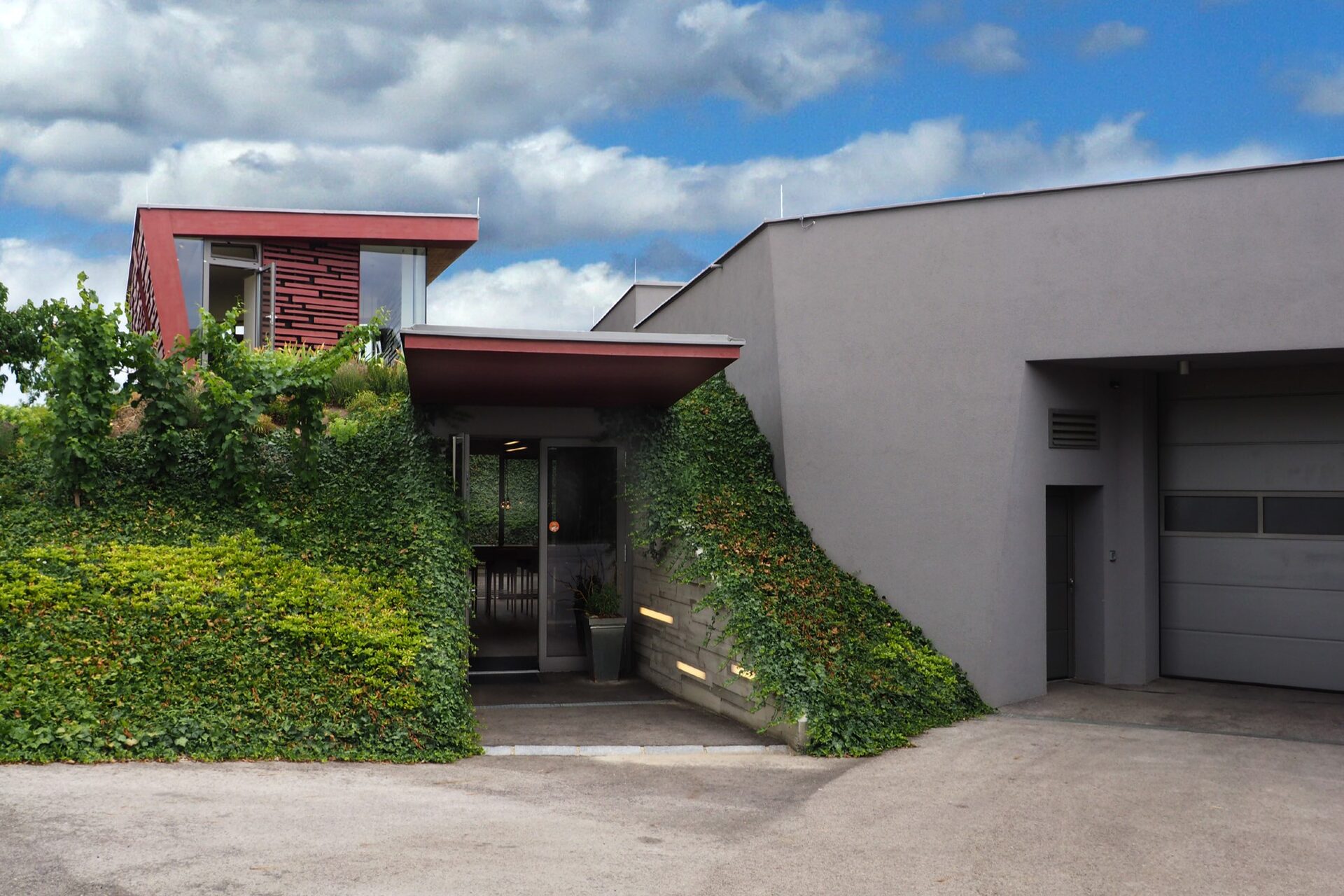 Weingut Studeny